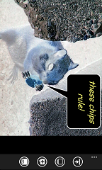 Photo Caption Negative Effect