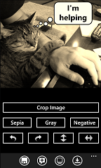 Photo Caption Sepia